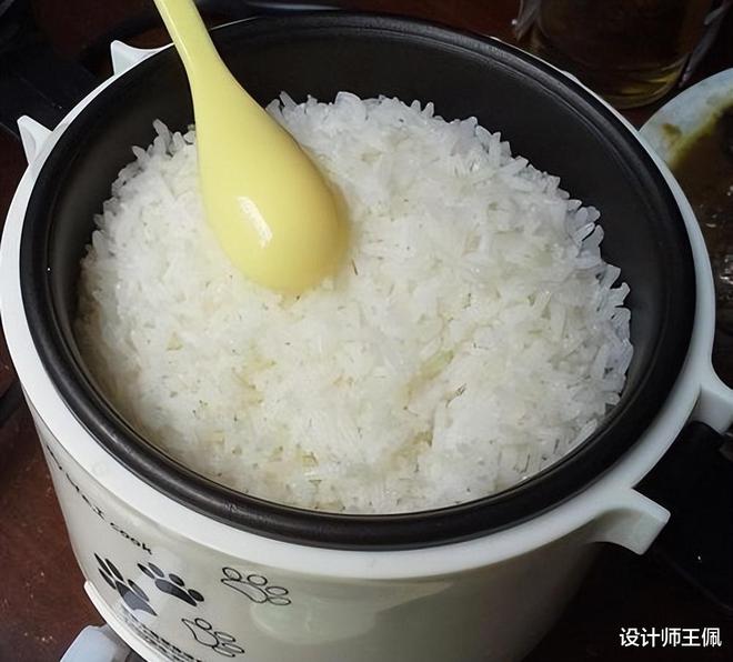 开云体育 开云平台100元和1500元的电饭煲哪个更实用？导购：买电饭煲不能只看价格(图14)