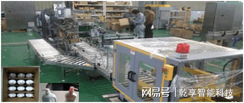 瓶装类全自动装开云APP 开云官网入口箱码垛生产线(图4)