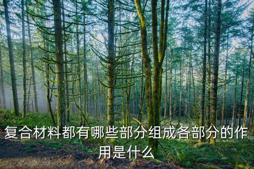 Kaiyun 开云体育功能复合材料复合材料都有哪些部分组成各部分的作用是什么