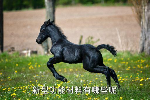 Kaiyun 开云体育功能复合材料复合材料都有哪些部分组成各部分的作用是什么(图2)